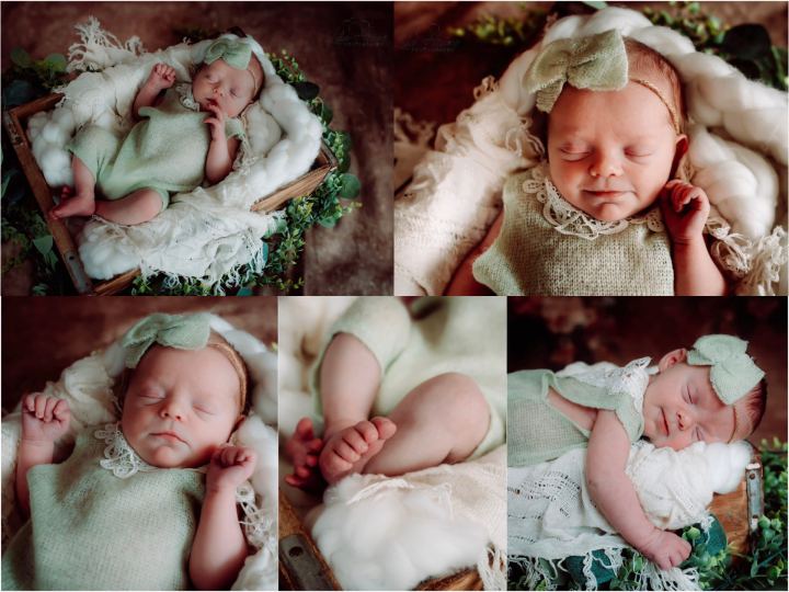 newborn session photographed by Lisa Bjornstad