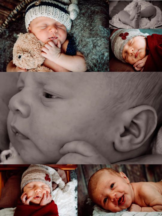 newborn session photographed by Lisa Bjornstad